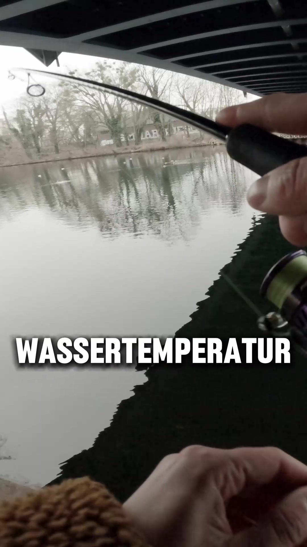 @Fischbulette