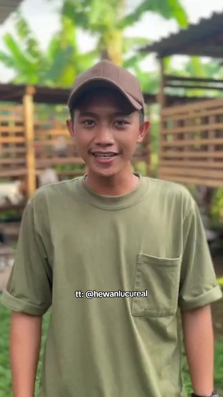 @Hewan Lucu🥰