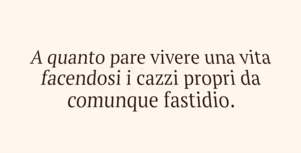 @brunopizzarelli2455