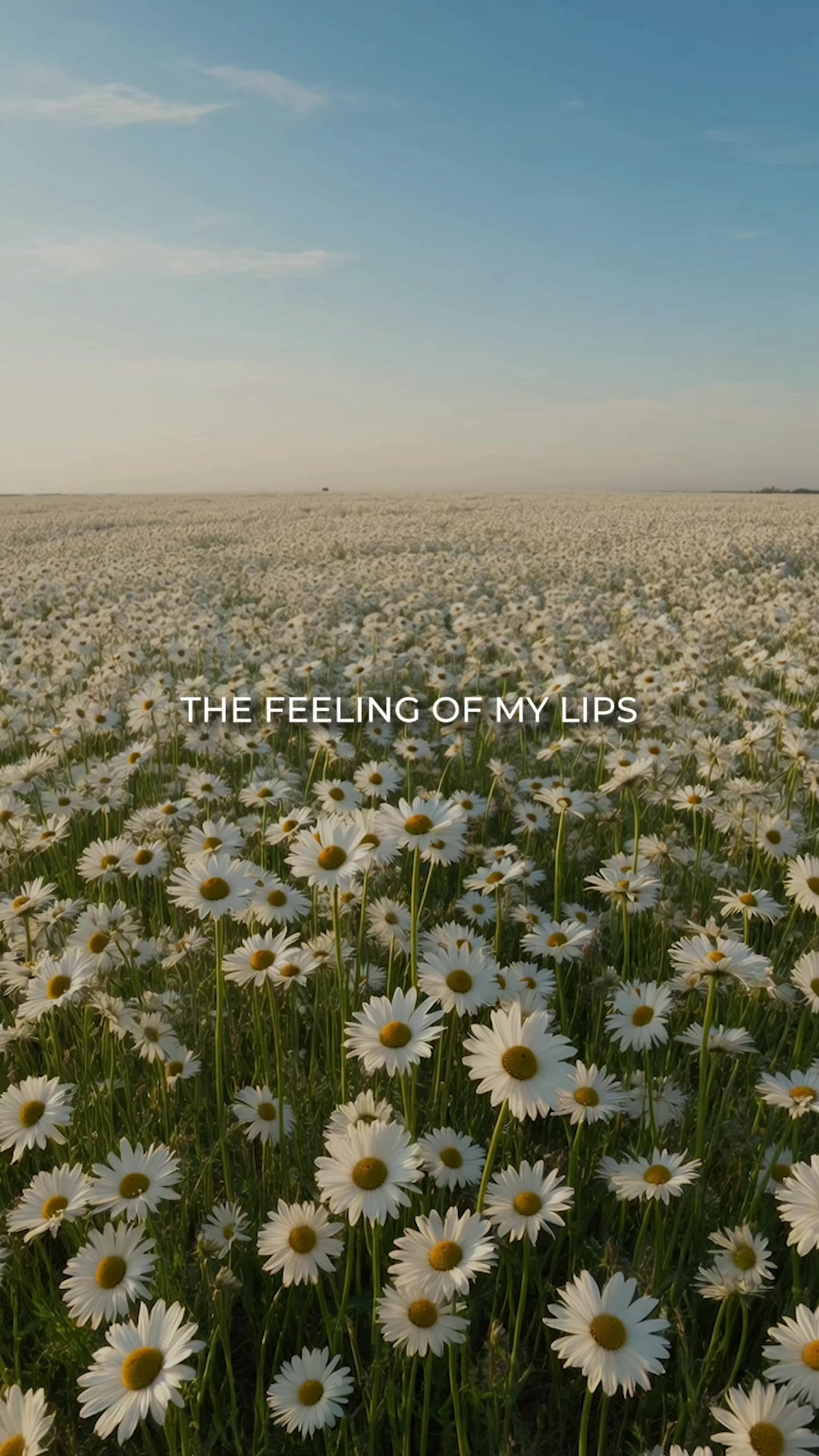 @Music Is The Feeling