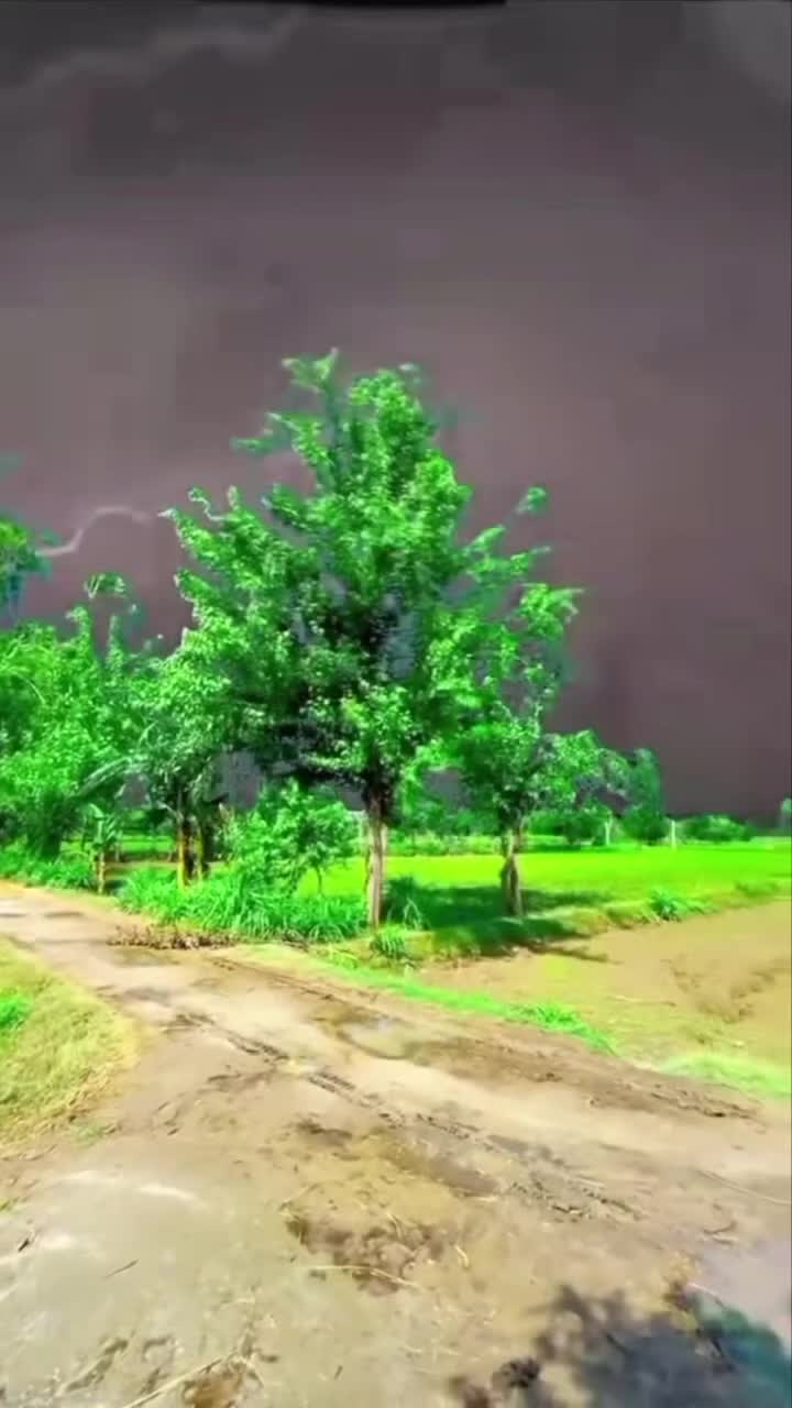 @ابو أمين العوبلي YEMEN 🇾🇪