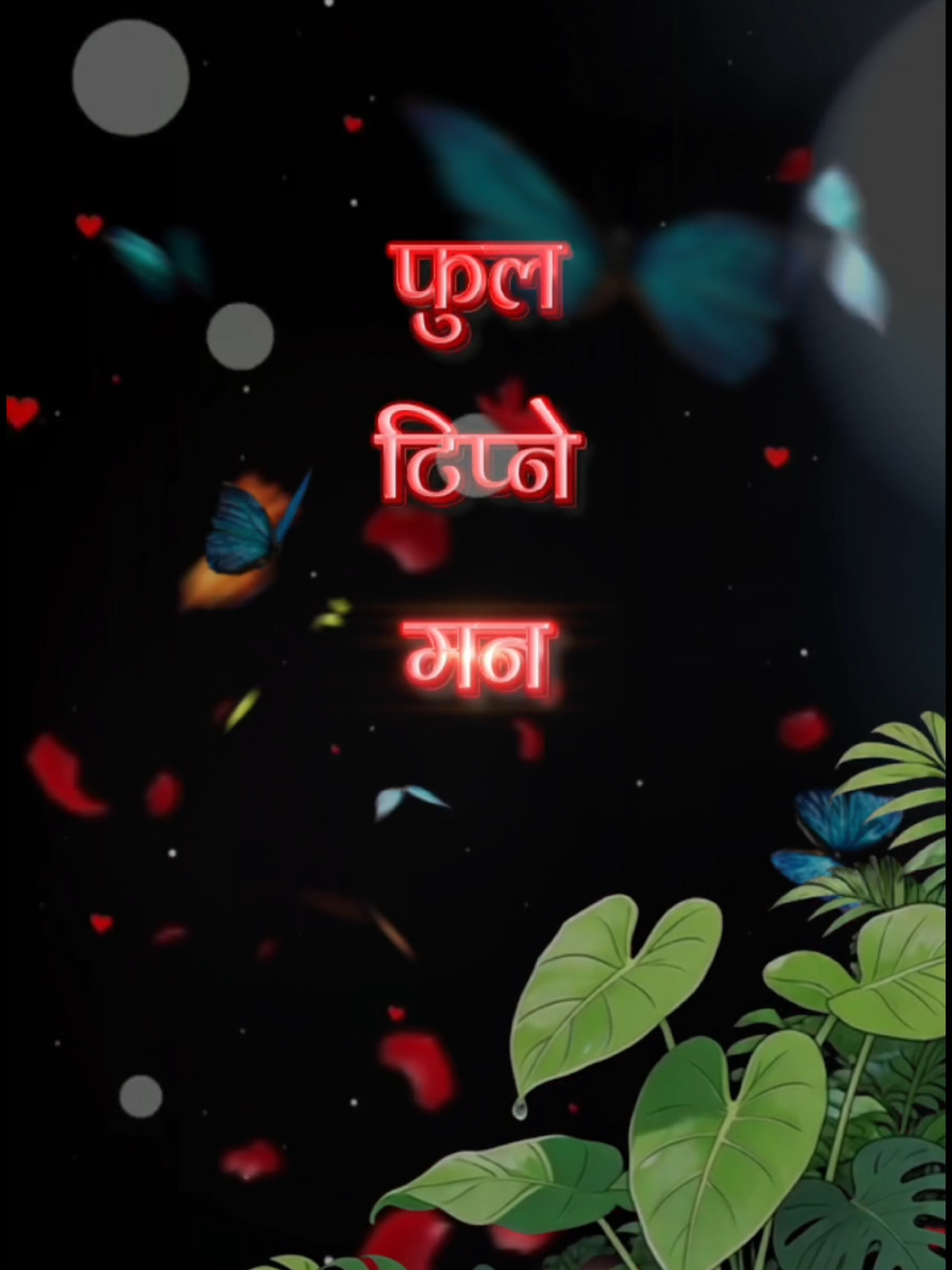 @basnet edit zone
