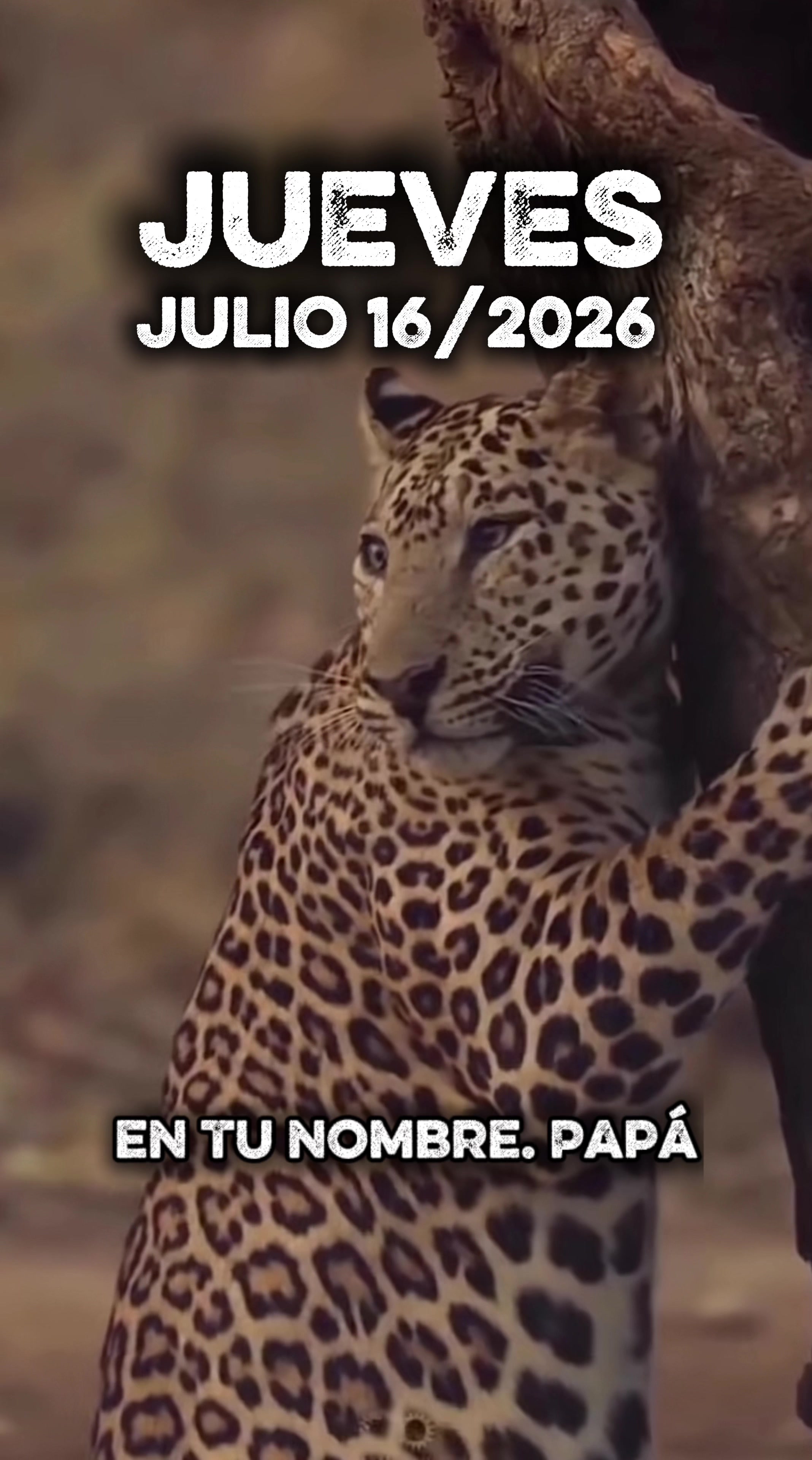 @Música del Cielo
