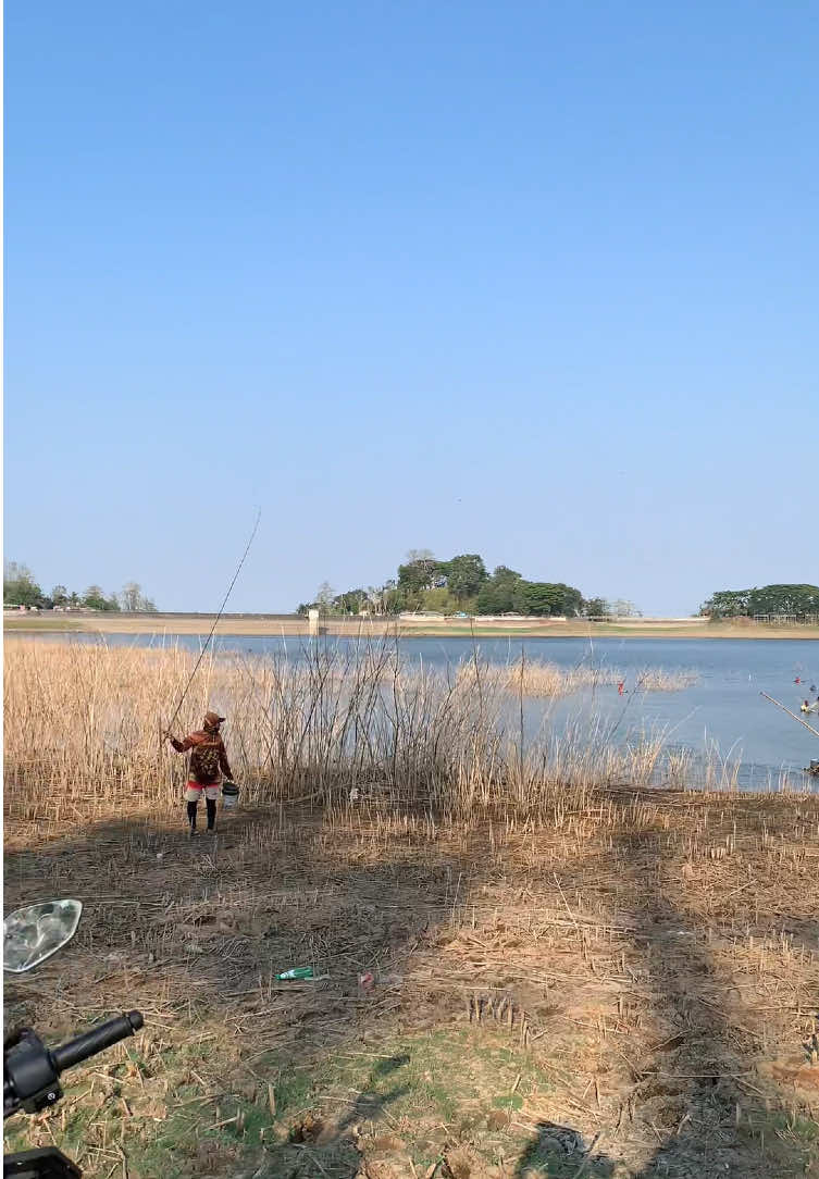 @MAFIA FISHING