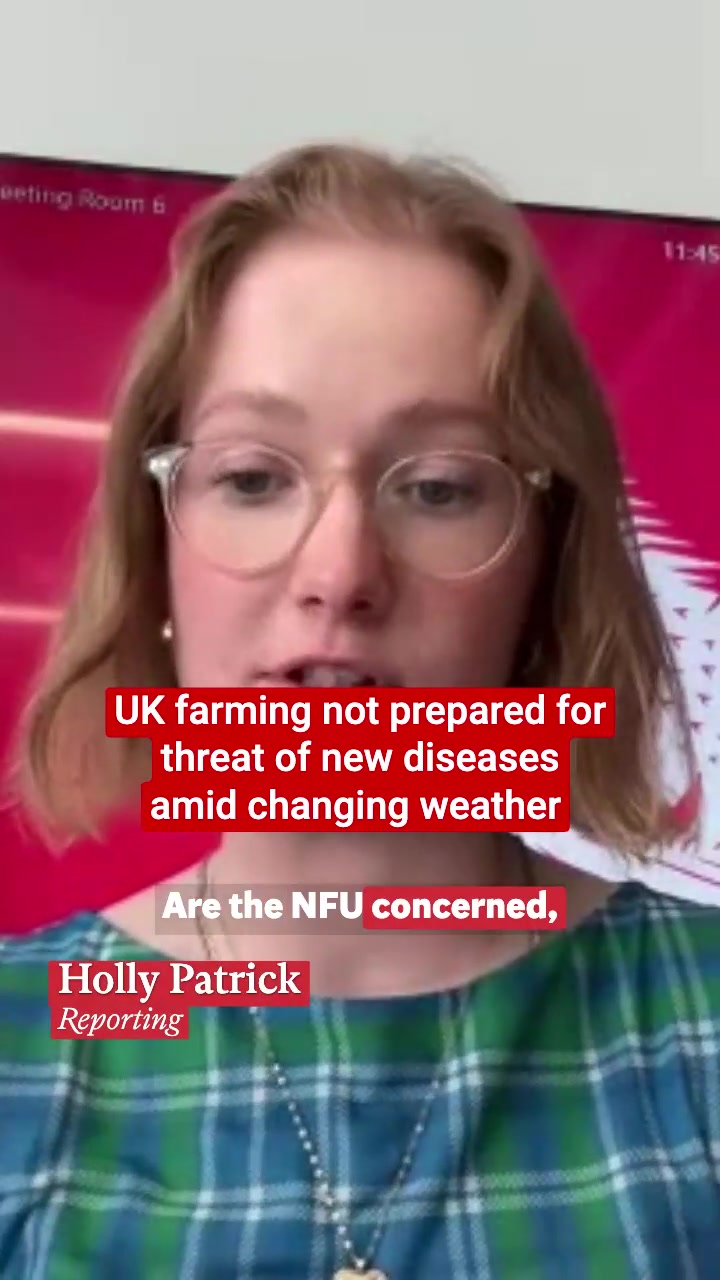 @Independent