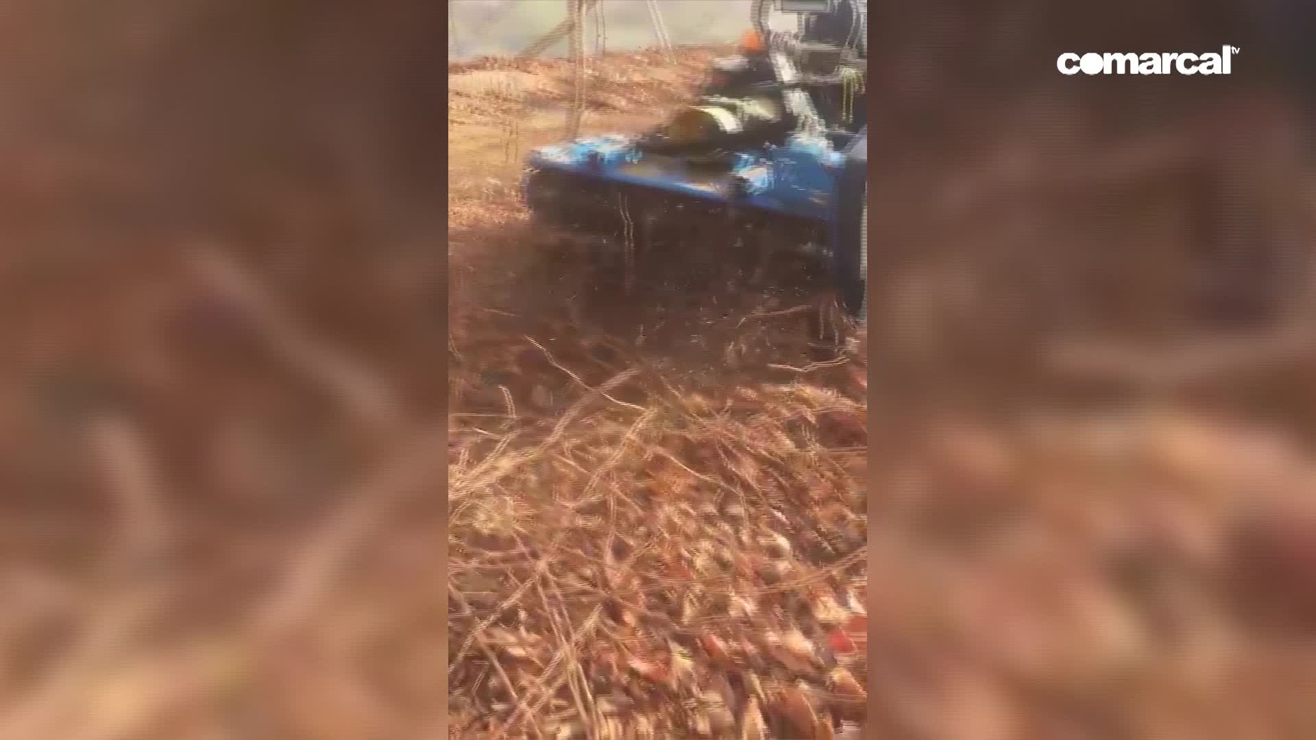 @ComarcalTV