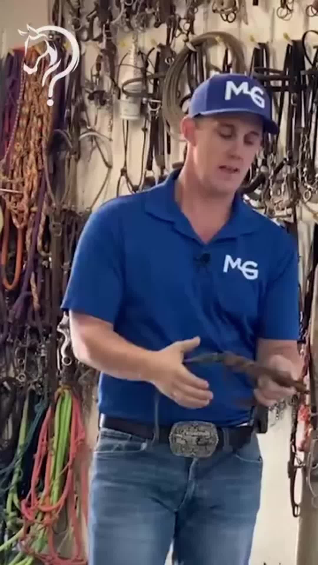 @Horse Help
