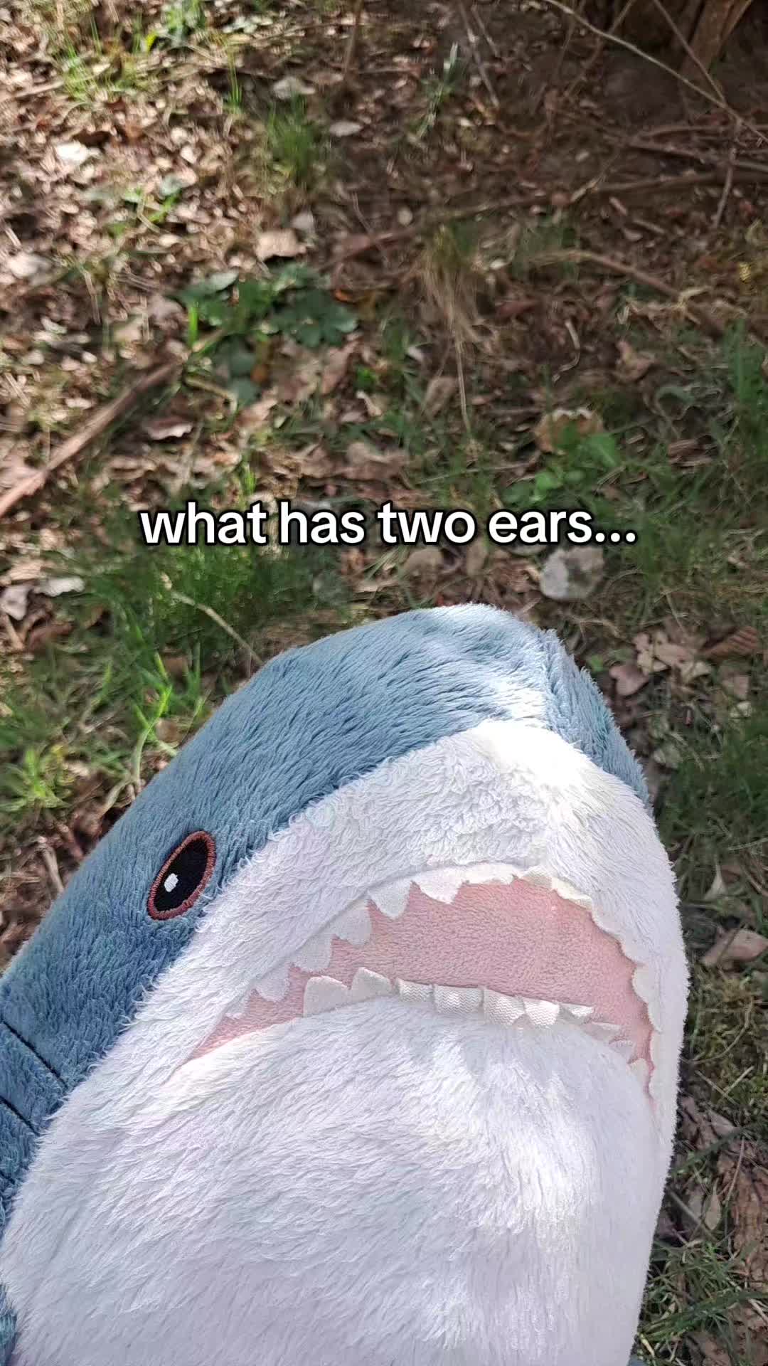 @Willie the Shark <3