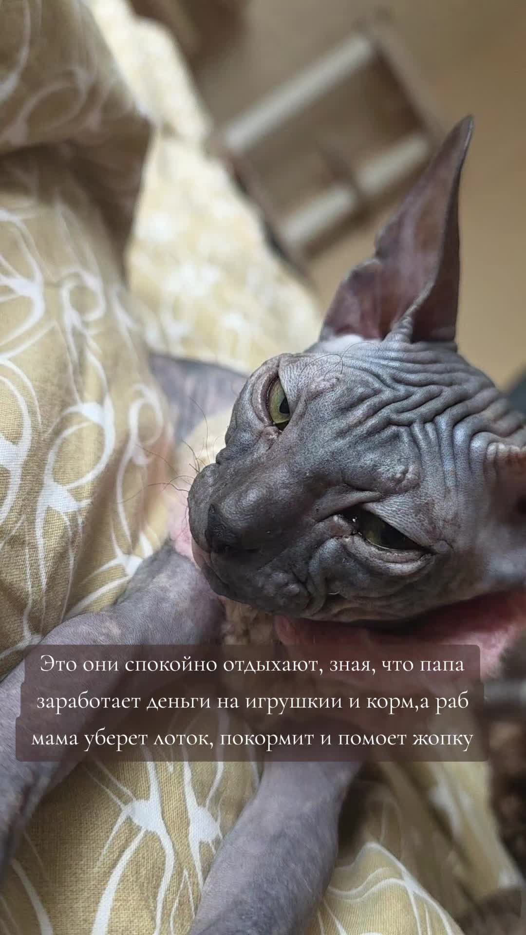@ARTËSHA_TRENOGINA