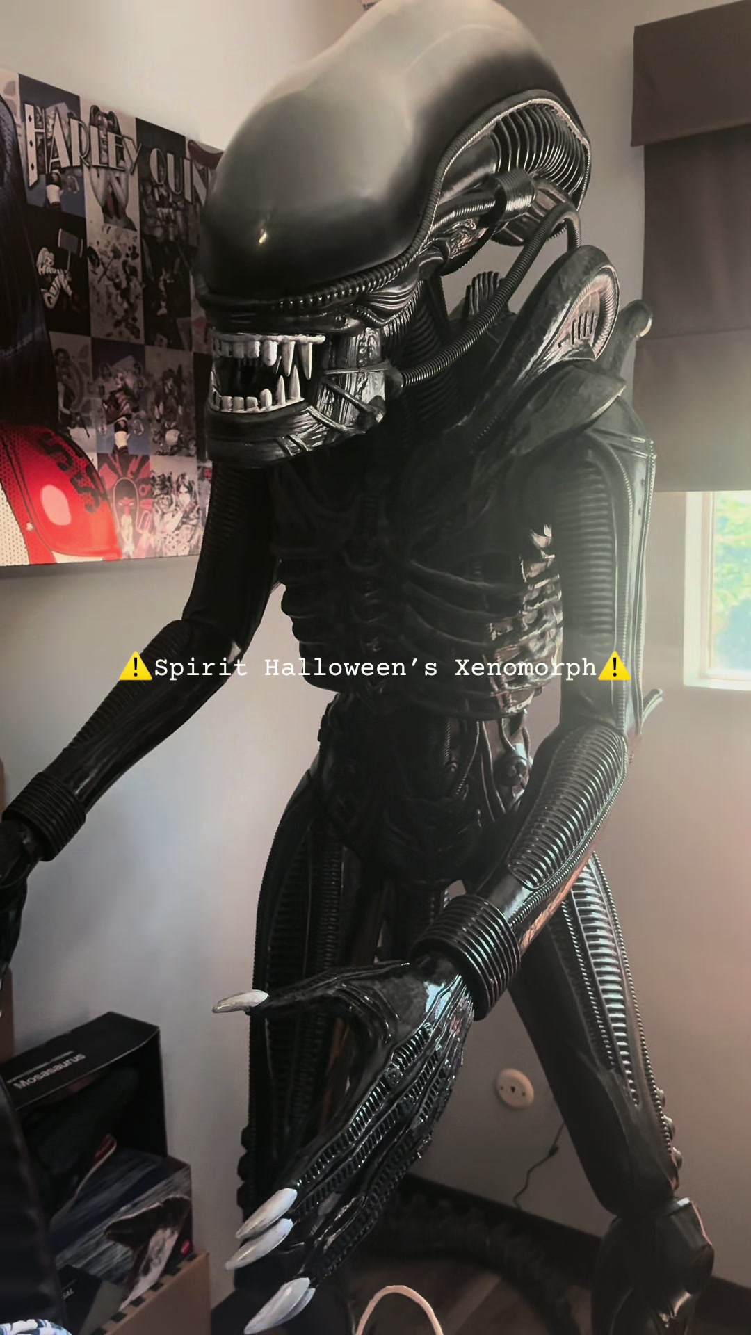 @Valeria🎃🖤🕸️