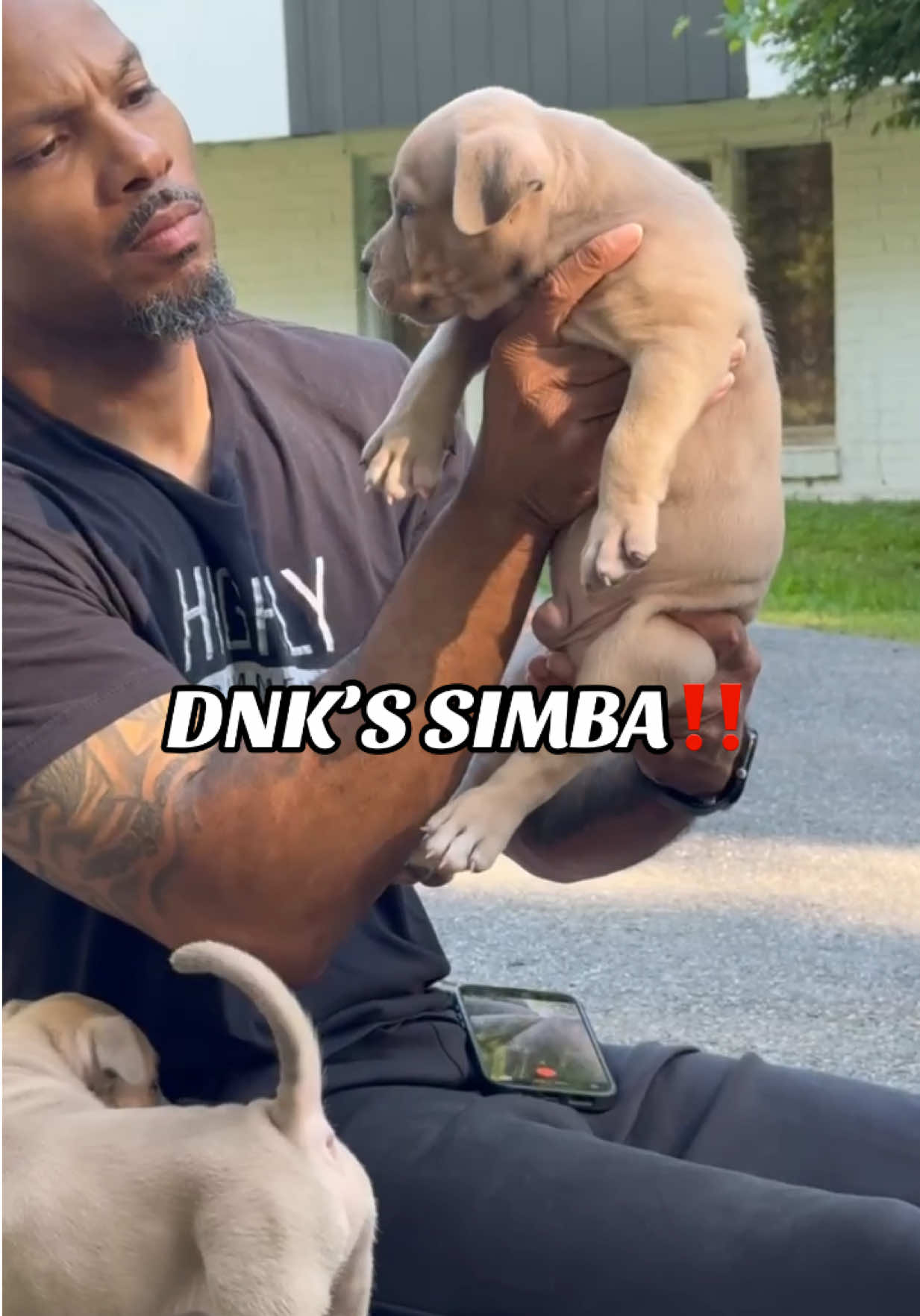 @DNK