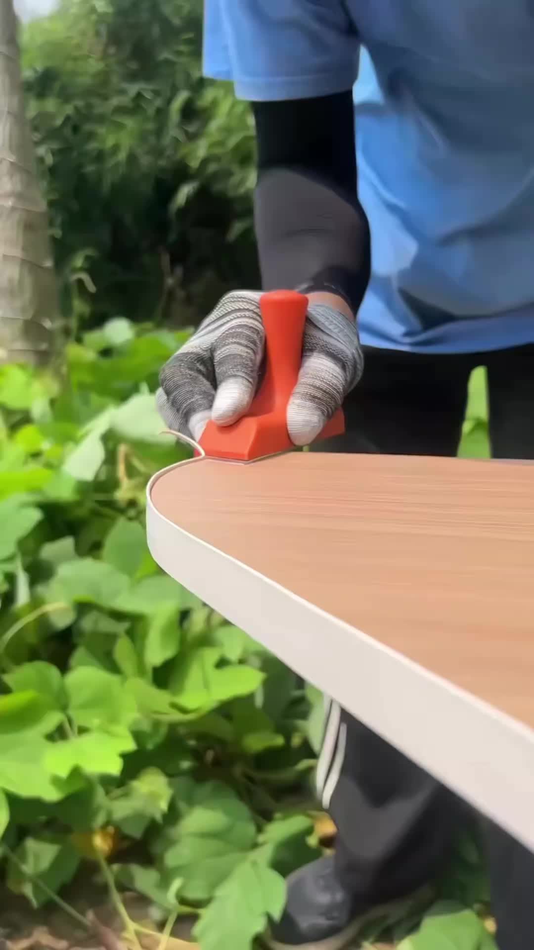 @Motivati 🍄