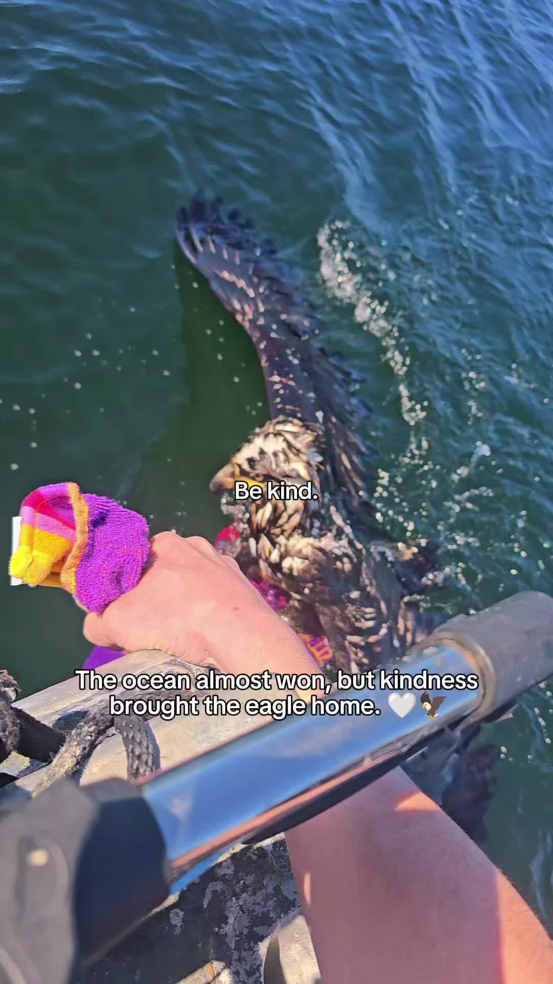 @WildwonderzZzz