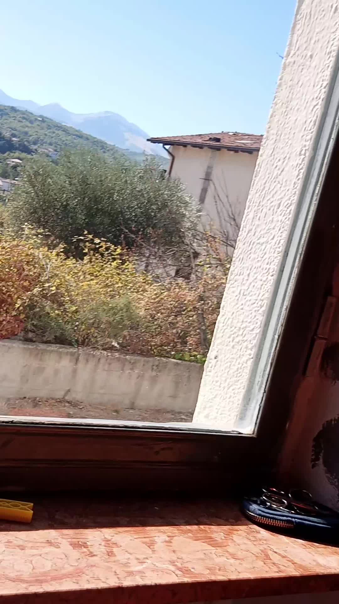@Emilia Di Giovanni