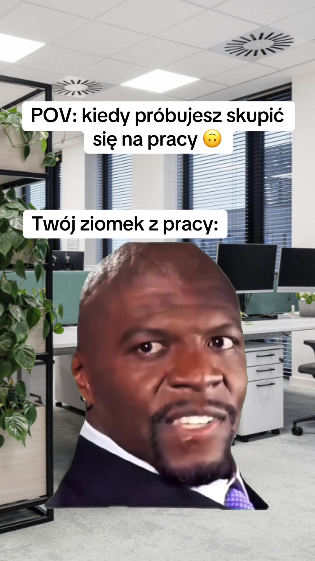 @mem08