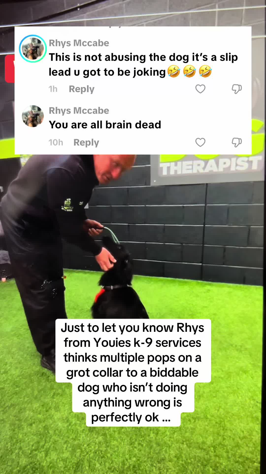 @Pipstar 🐕🦺