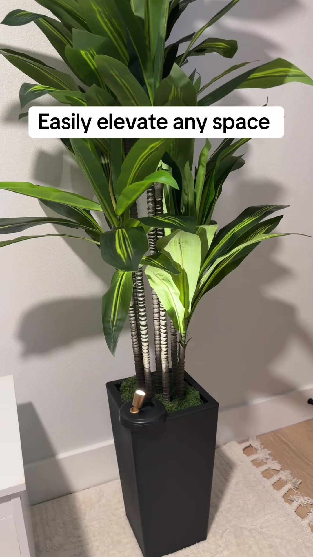 @Joe Deals