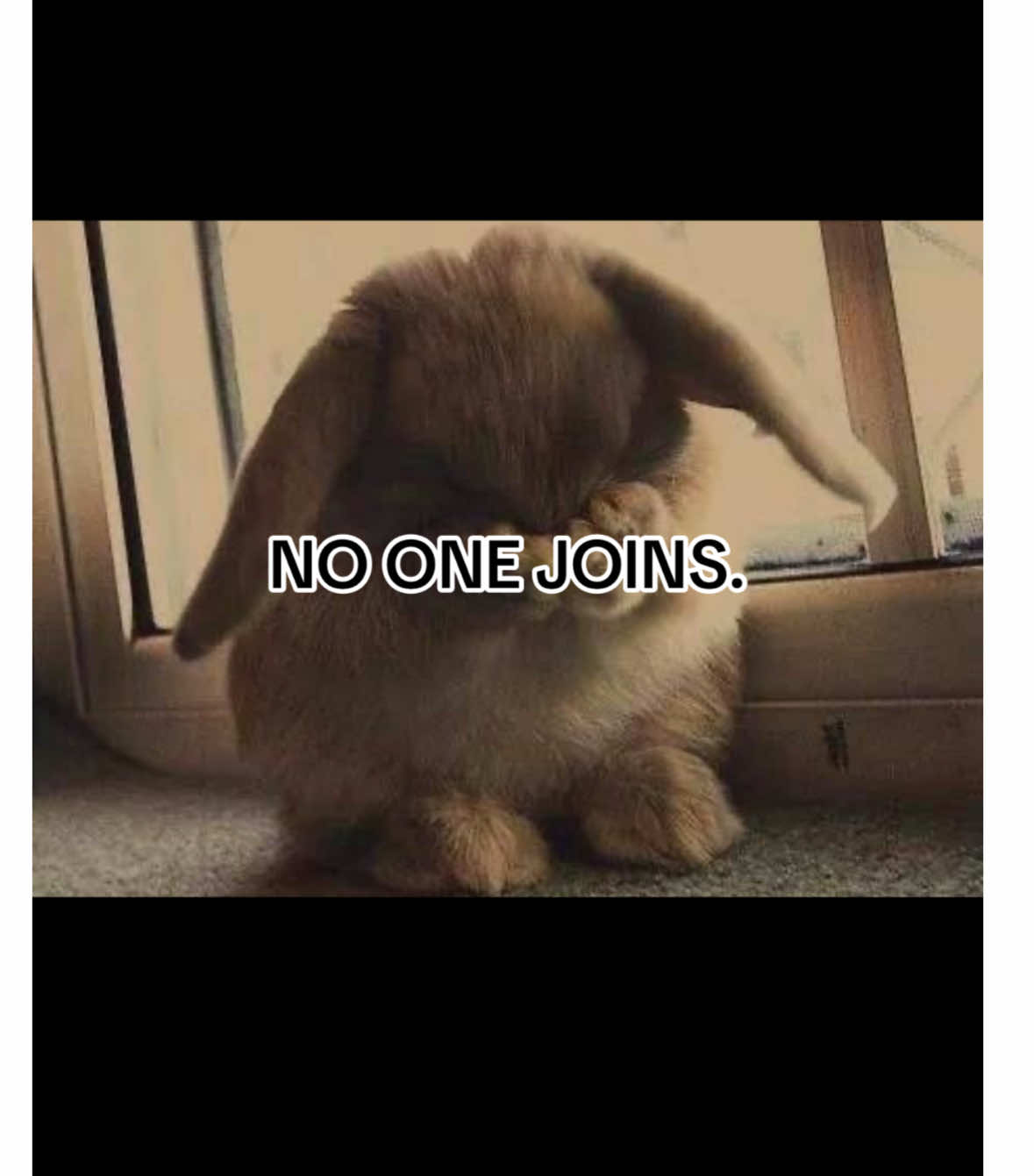 @discord.gg/cherrish