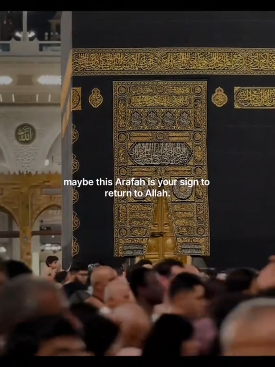 @Halal Mohsin