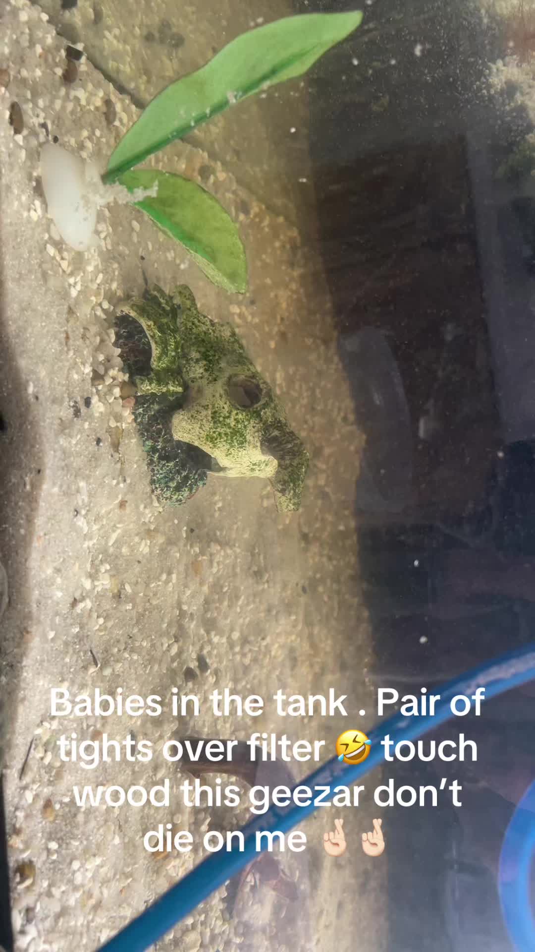 @CRBaquatics