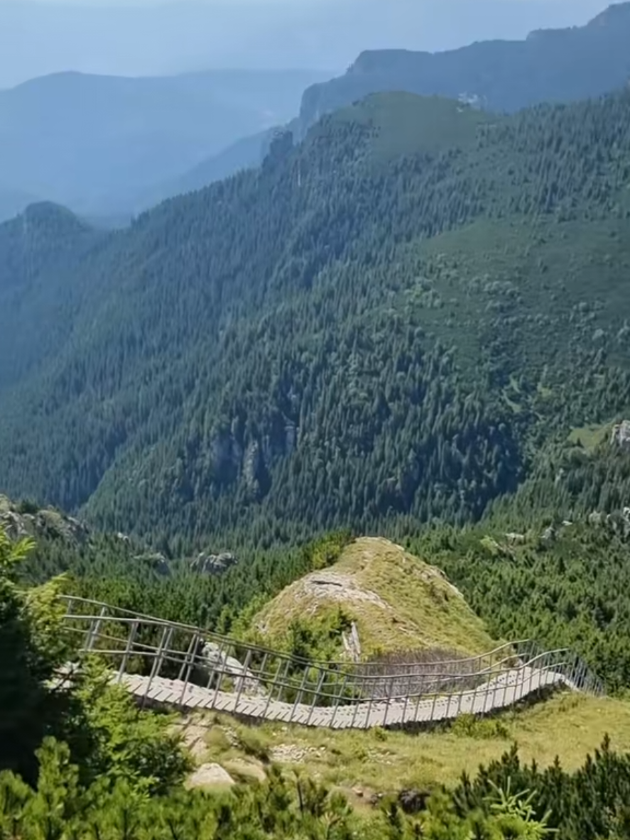 @2calatori