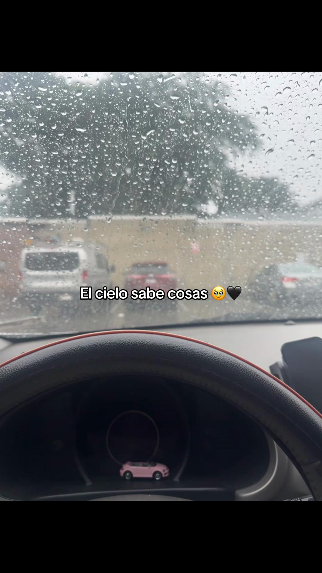 @Flor 🌷