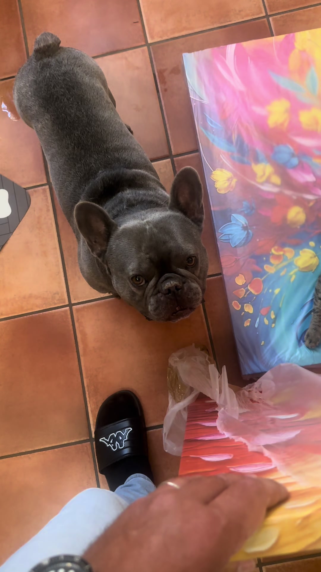 @𝐴𝑛𝑑𝑟𝑒𝑎 𝑒 𝐶𝑖𝑐𝑐𝑖𝑜🧸