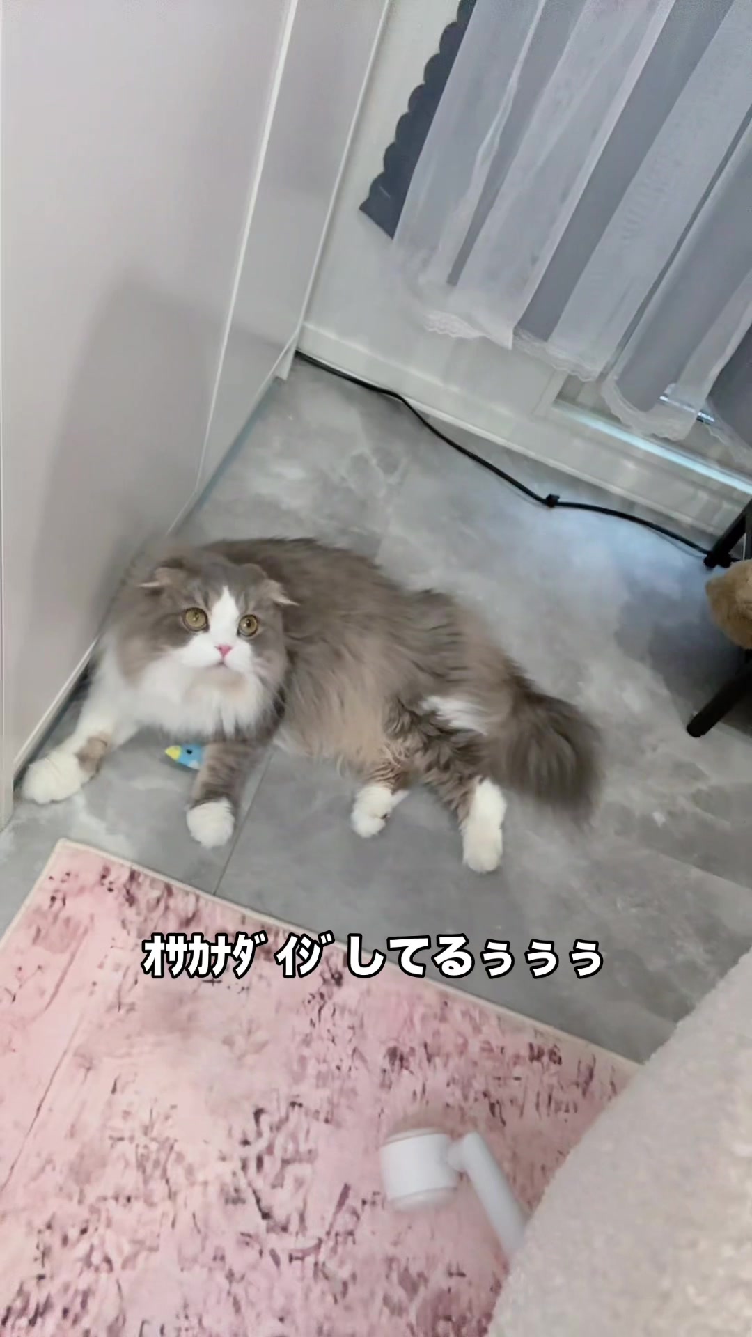 @ぞの様🦙🪐事務所イベ❤️🔥