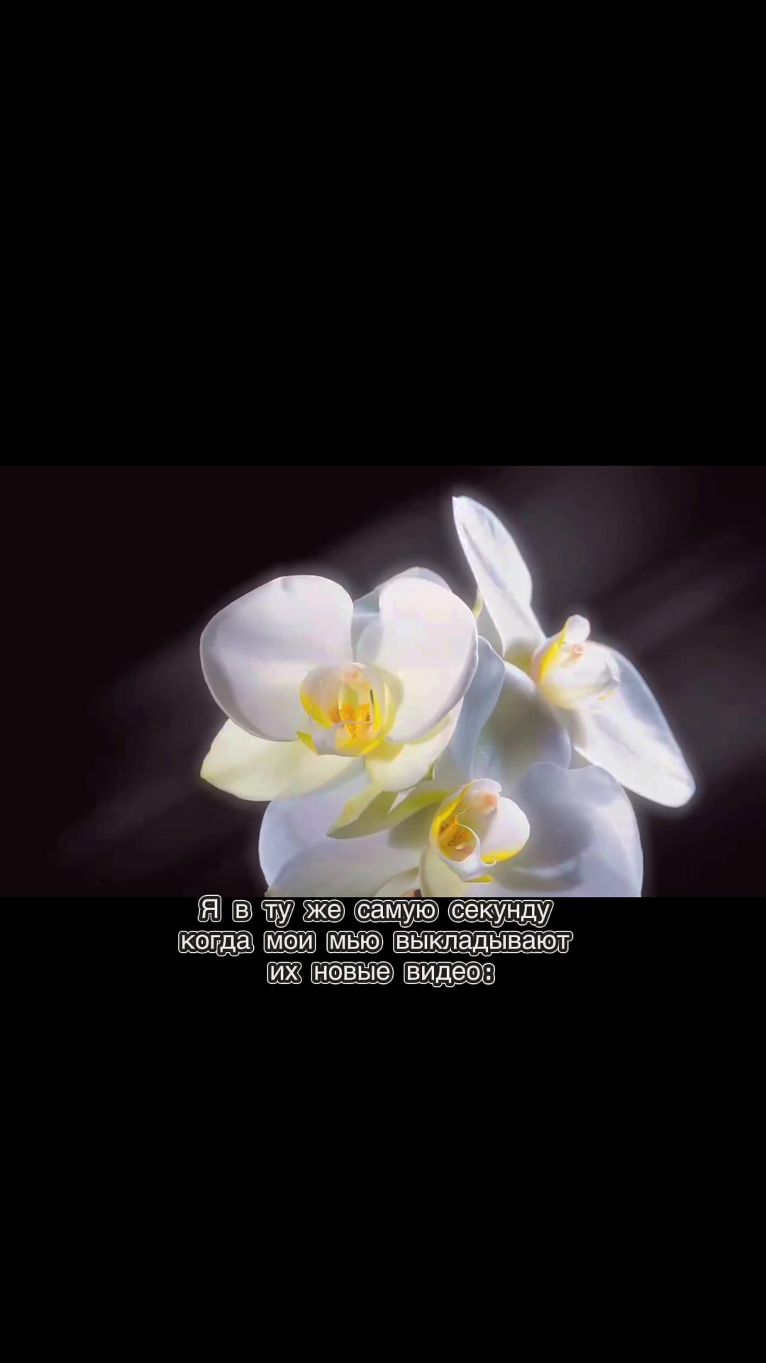 @&mdash;ᥴ𐔖ёⲏⲕᥲ