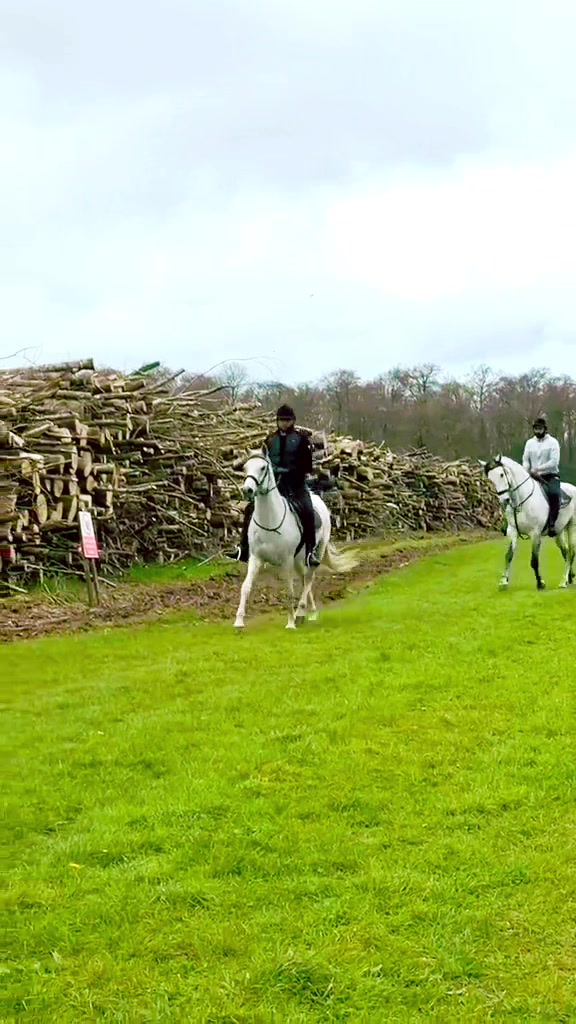 @Slough horses