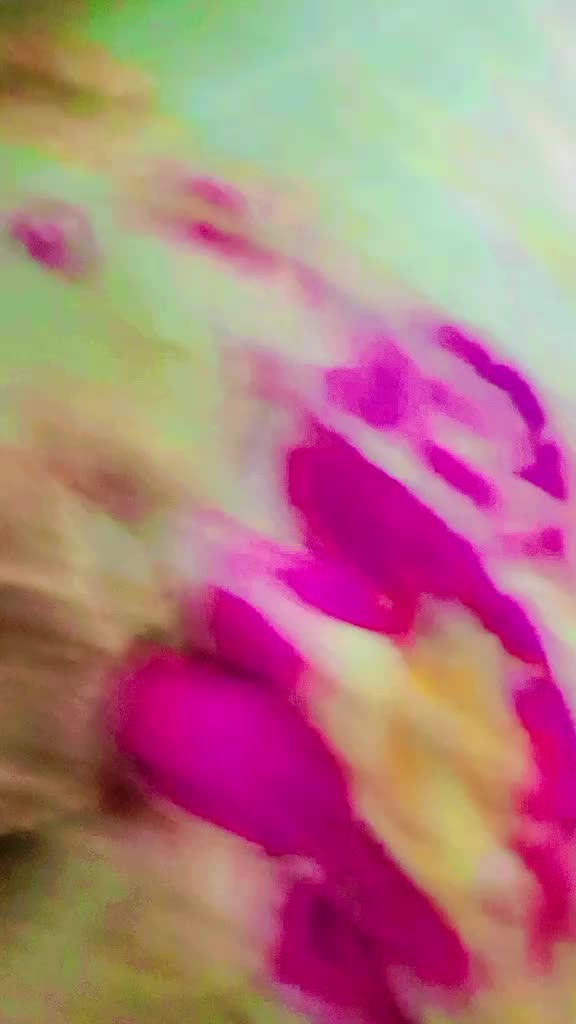 @đĨ°āϰāĻžāĻāĻŦāĻžā§āĻŋ āĻŦā§ āĻā§āϞ⧠,, āĻāϞāĻŽāĻā§āϰ