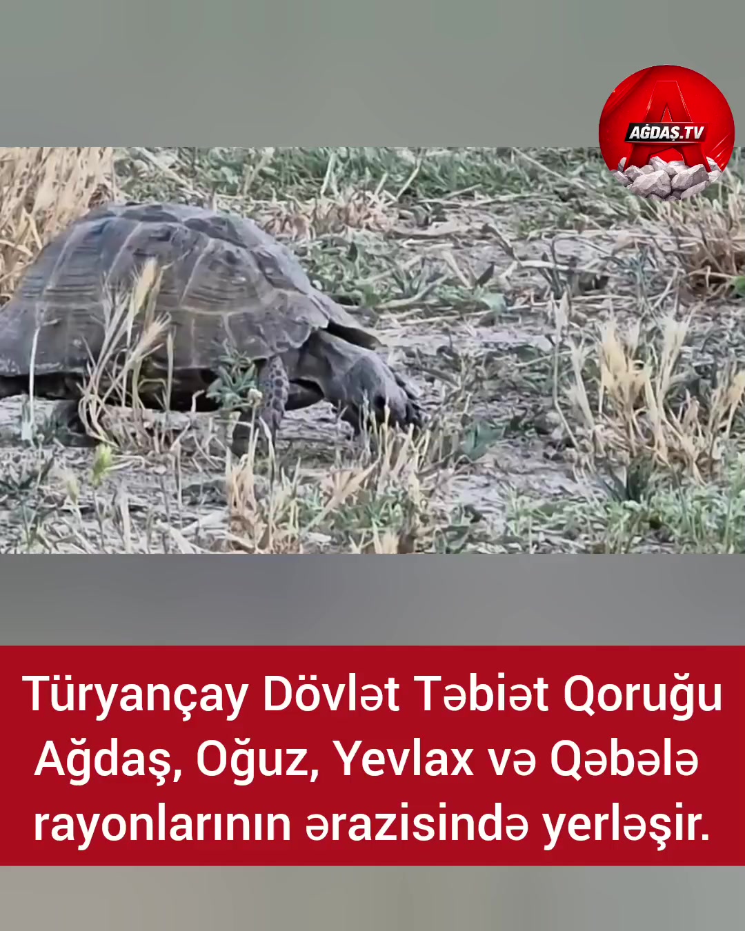 @Ağdaş.tv