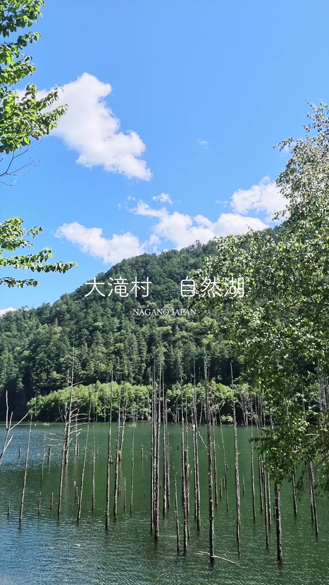 @信州さん