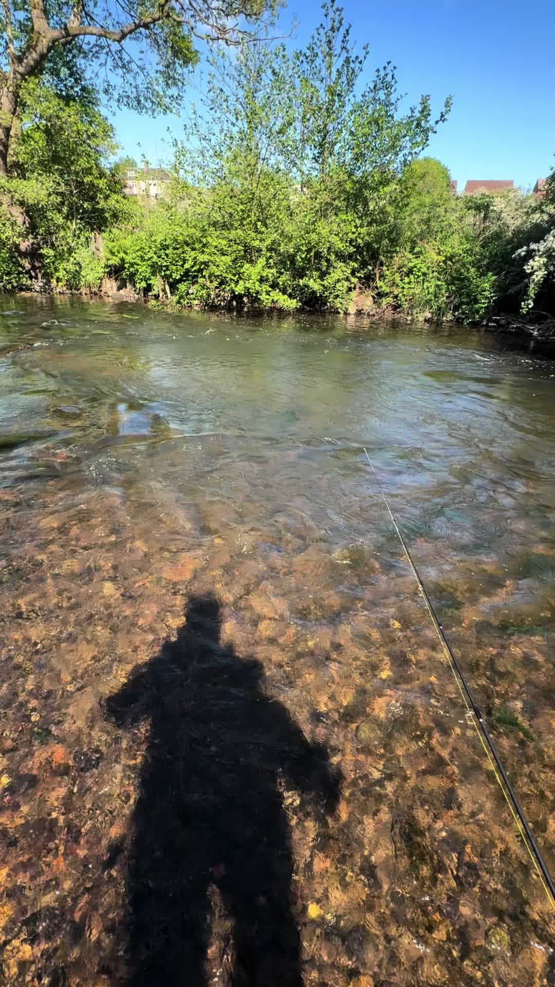 @Alba Trout 🏴󠁧󠁢󠁳󠁣󠁴󠁿
