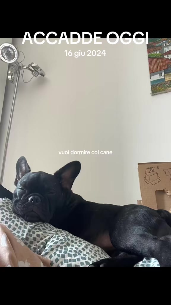 @Federica Maietta