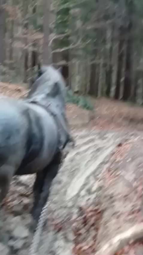 @Buga Ionuț