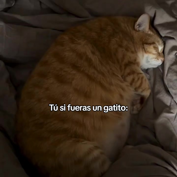 @goodvibessxd