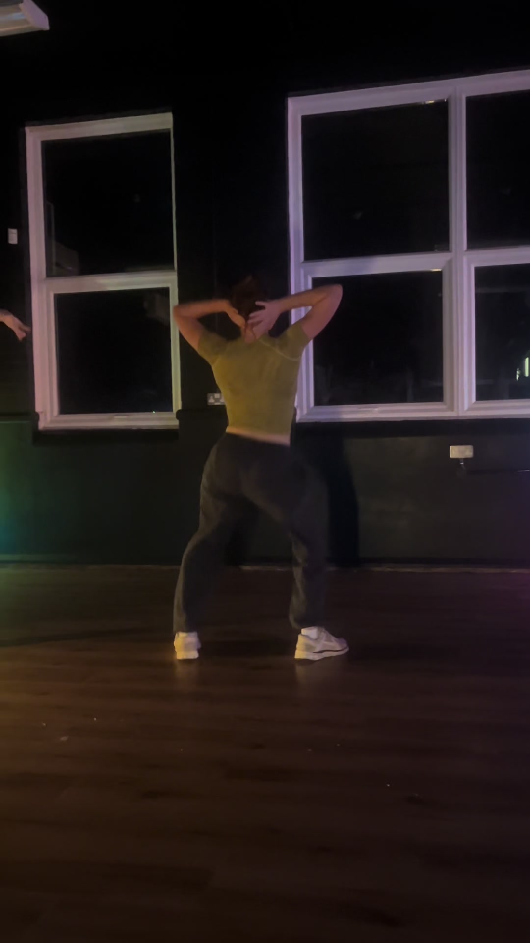 @holswilddance