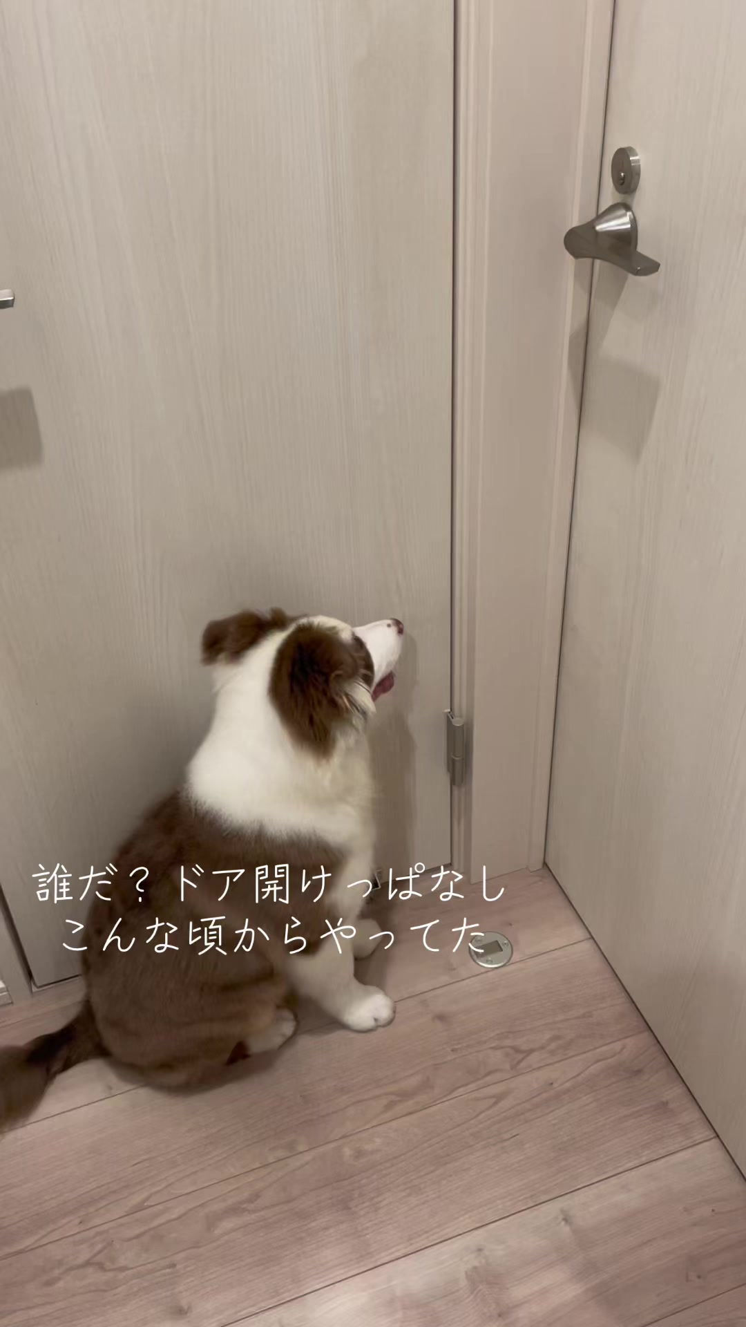 @サン&タマ