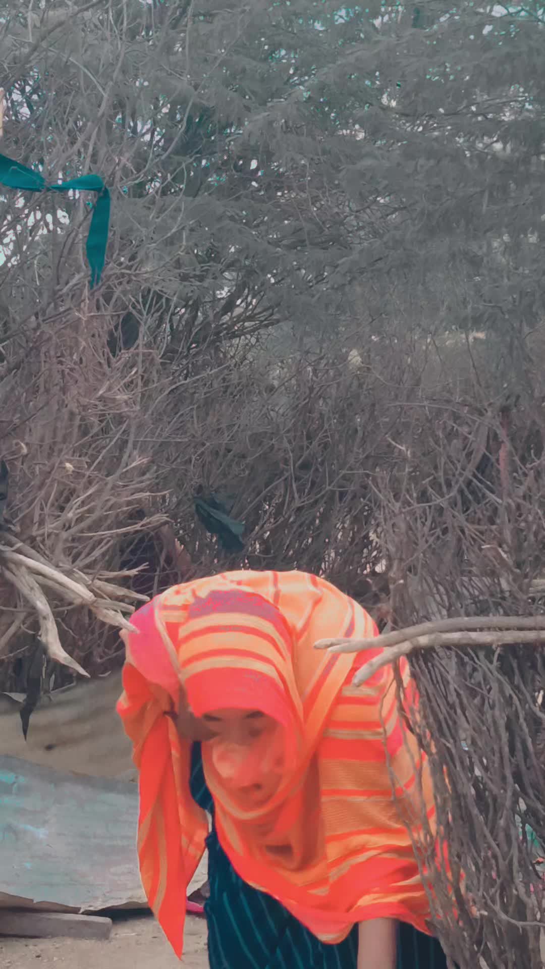 @Aisha💃🦋