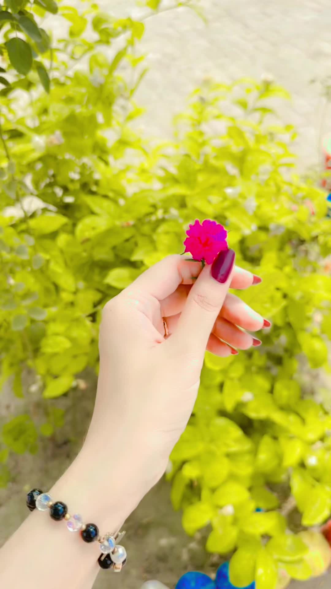 @Mantasha_zahra🚩🥀