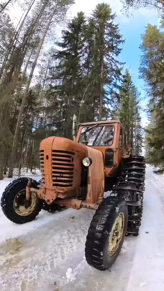 @ForestAndWheels