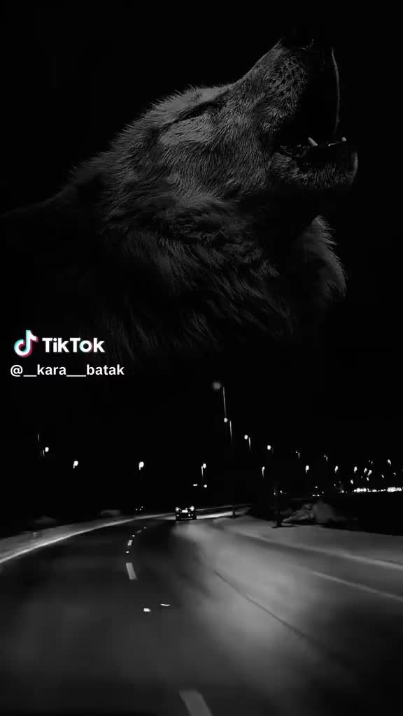 @48... 🇲 🇦 🇭 🇲 🇺 🇹 ...48