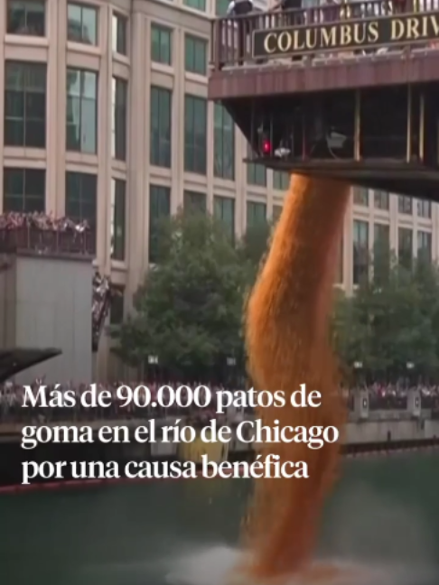 @La Vanguardia 🗞
