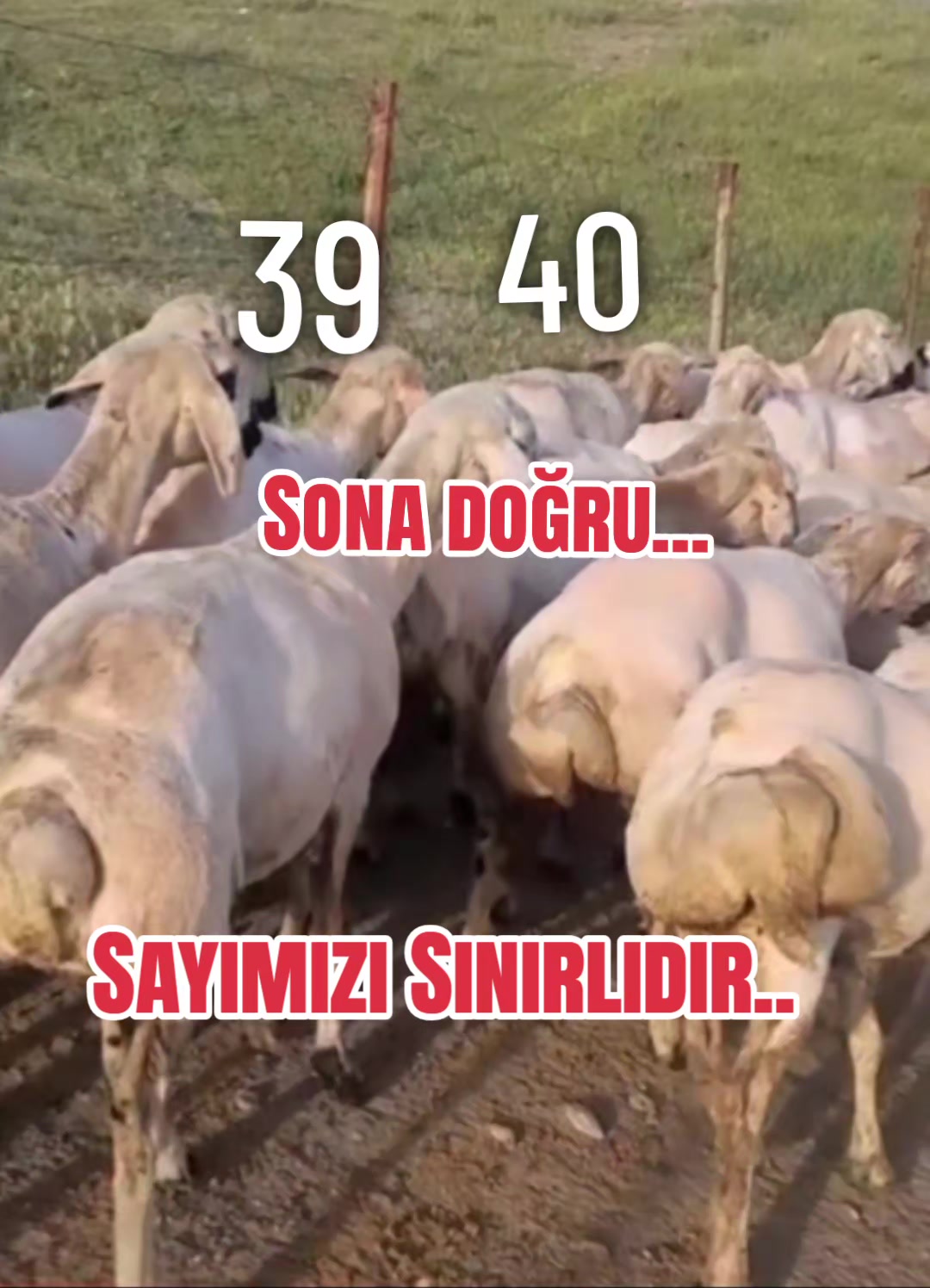 @✎﹏﹏𝐾𝑎𝑑𝑖𝑟 Ş𝑎ℎ&icirc;𝑛﹏﹏