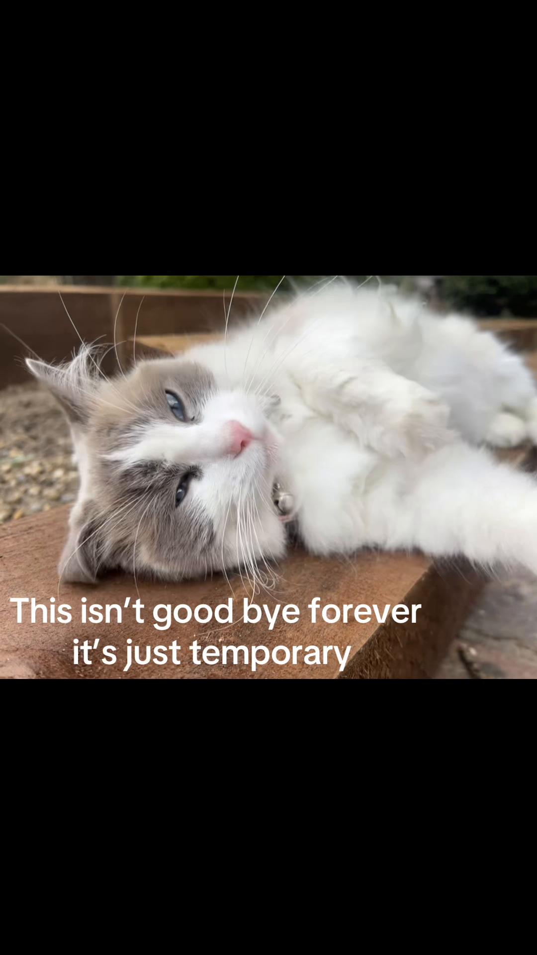 @๐๐