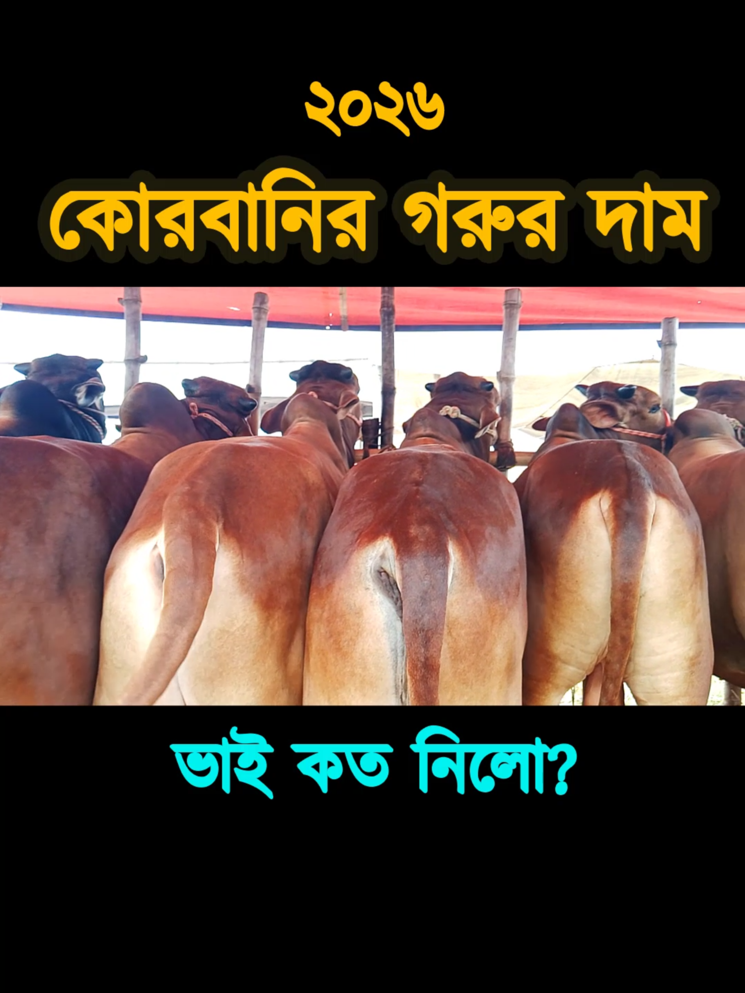 @Nayeem Islam