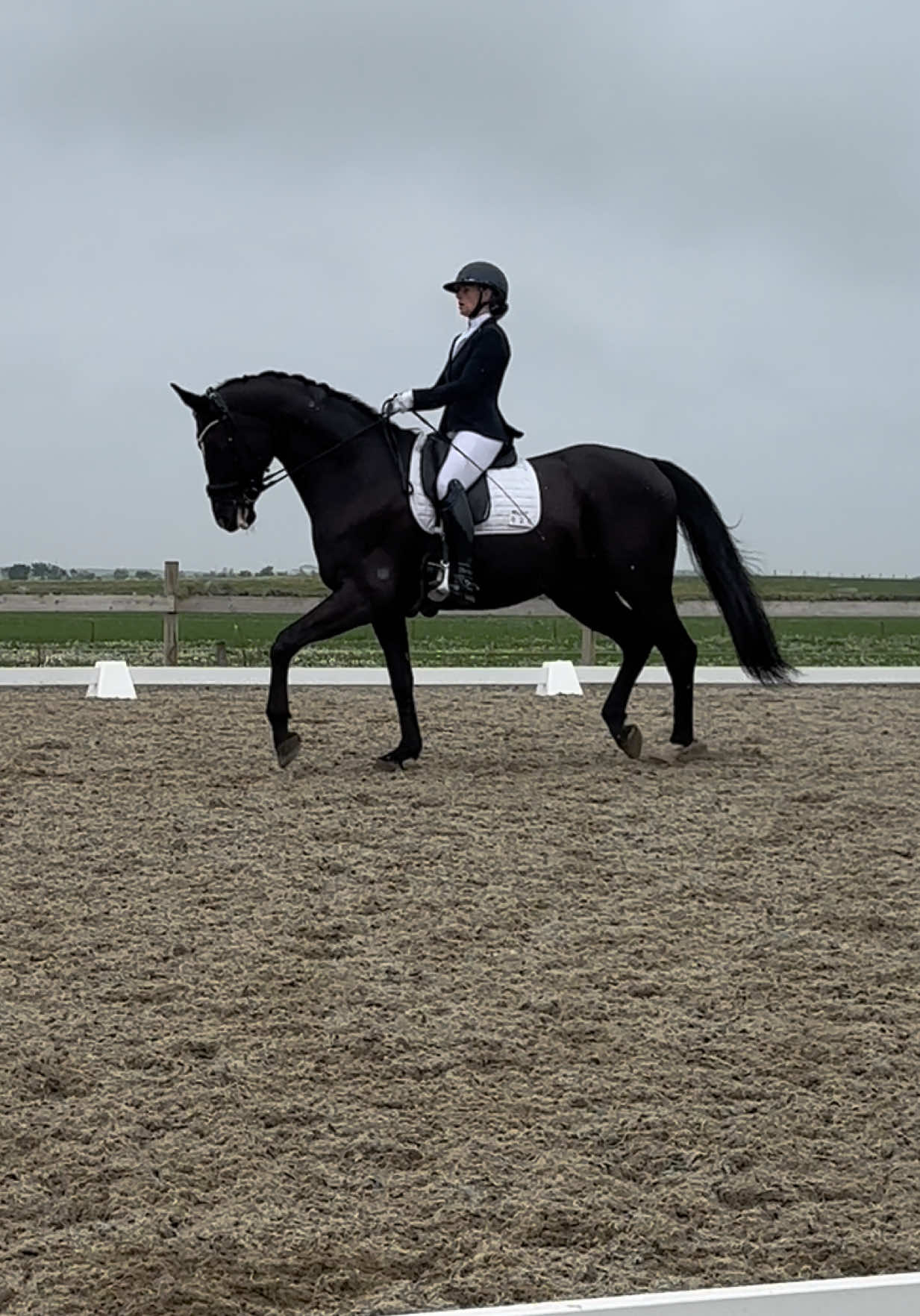@Eline Lode