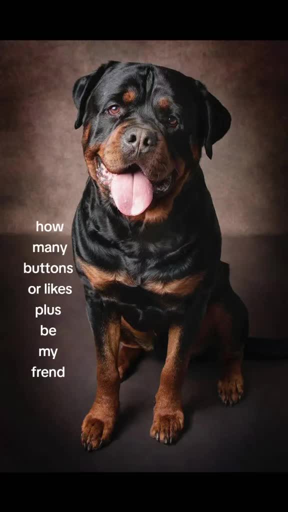 @Reggie the Rott