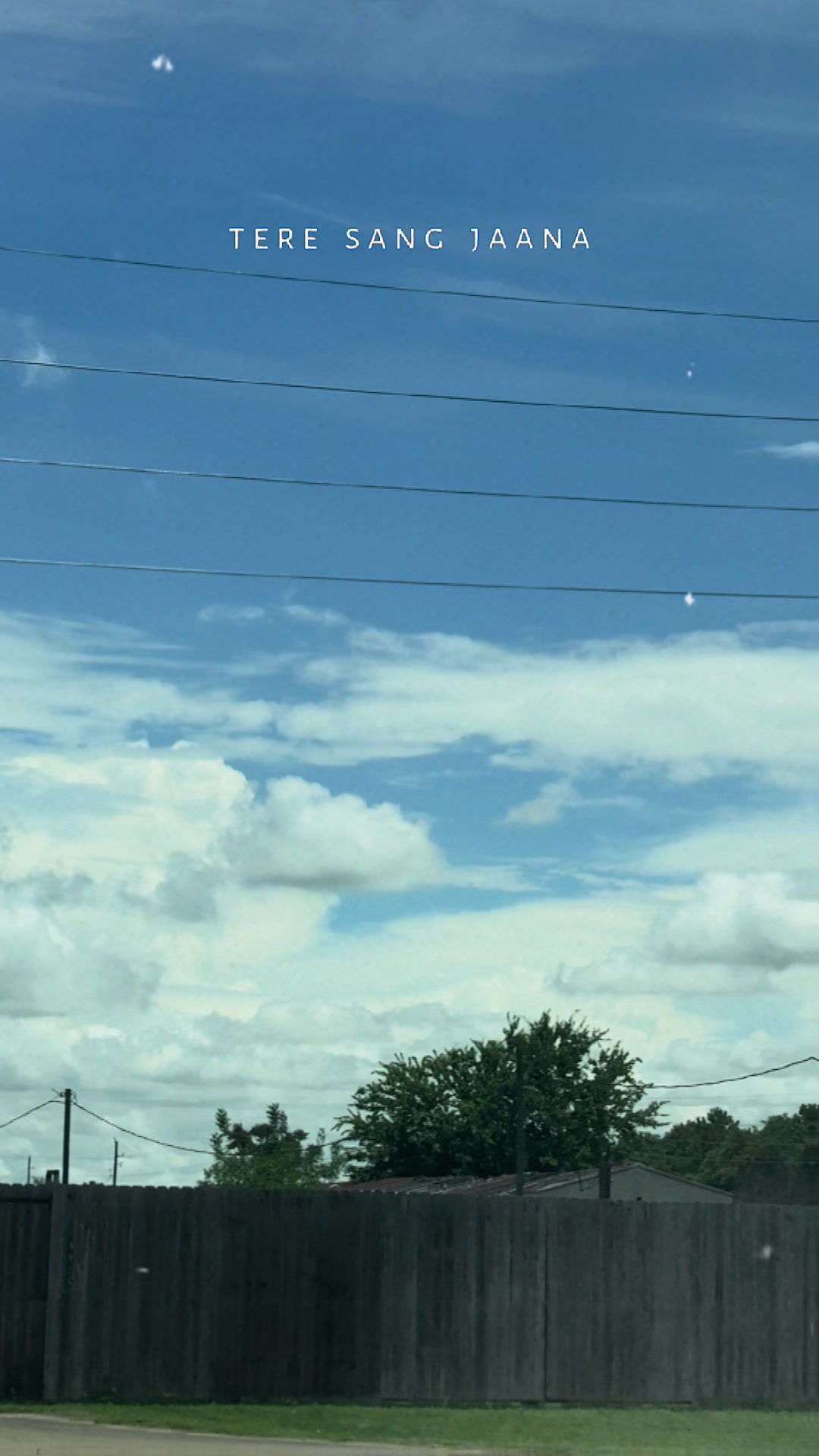 @Humera